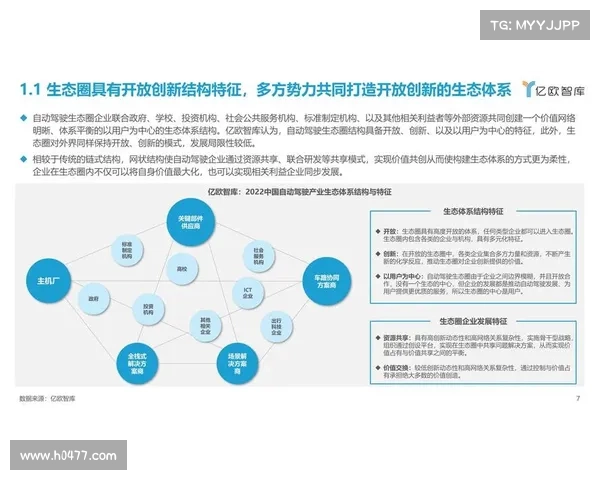 立纳瑟在国际政治格局中的影响力与战略地位分析 立纳瑟在国际政治格局中的影响力与战略地位分析